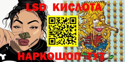 гашик Бийск