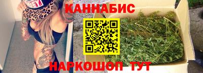 кокс Гатчина