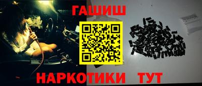 стаф Берёзовский