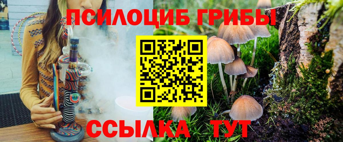где купить наркоту  Вход с VPN  Джанкой  Псилоцибиновые грибы Cubensis 